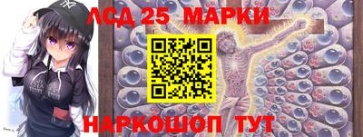 стаф Гатчина
