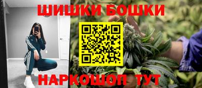 стаф Гатчина