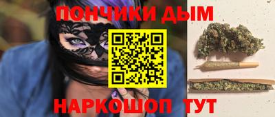 стаф Гатчина