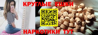 стаф Гатчина